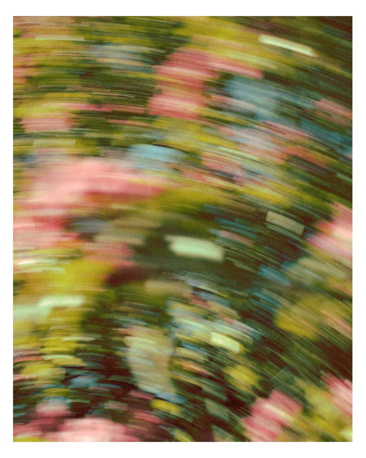 Flores en movimiento